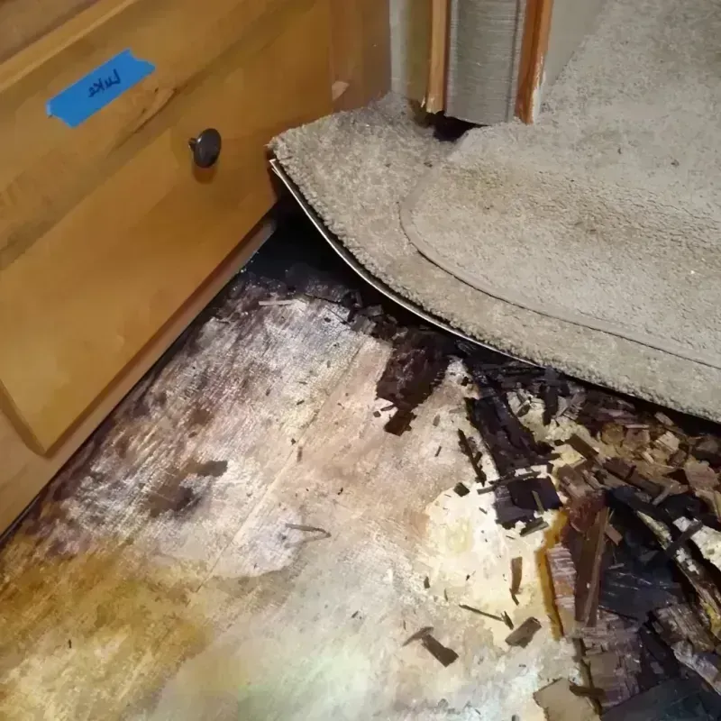 Best Wood Floor Water Damage Service in Paoli, PA